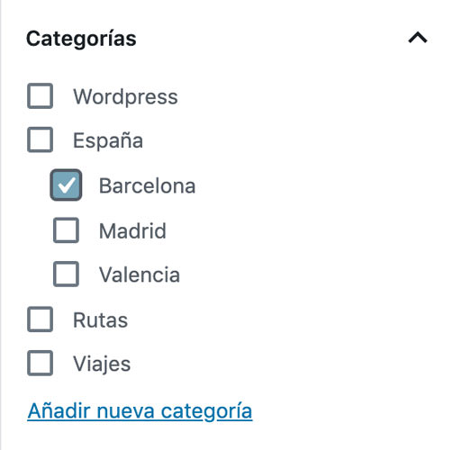 añadir categoría a una página de Wordpress